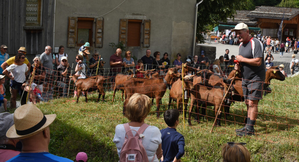 Fête des alpagistes