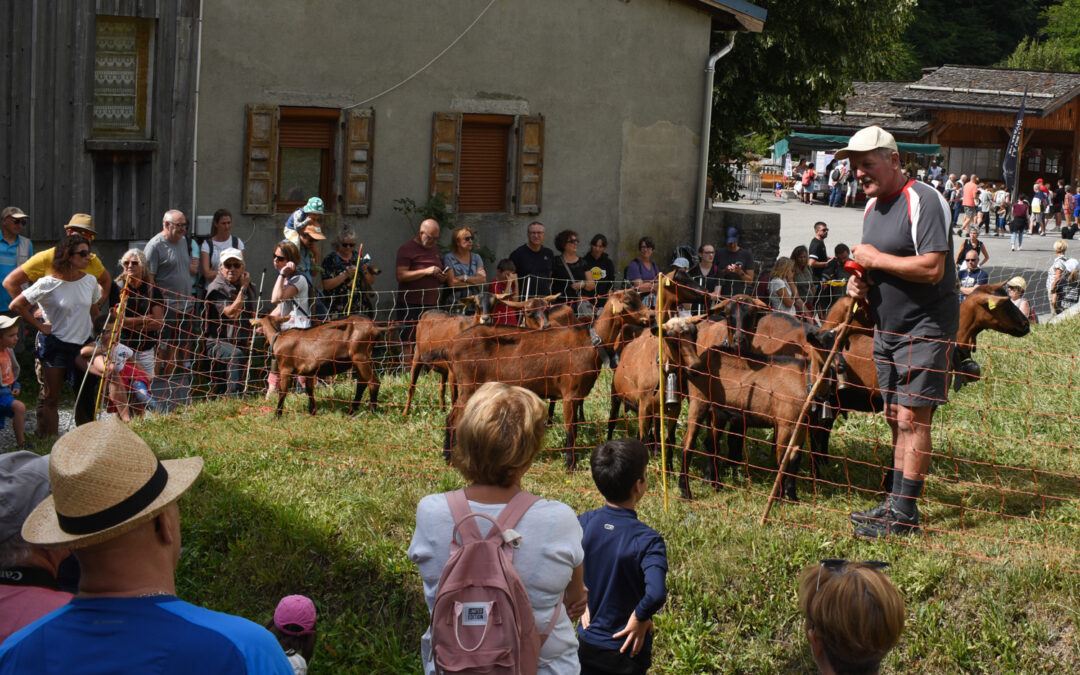31e Fête des Alpagistes