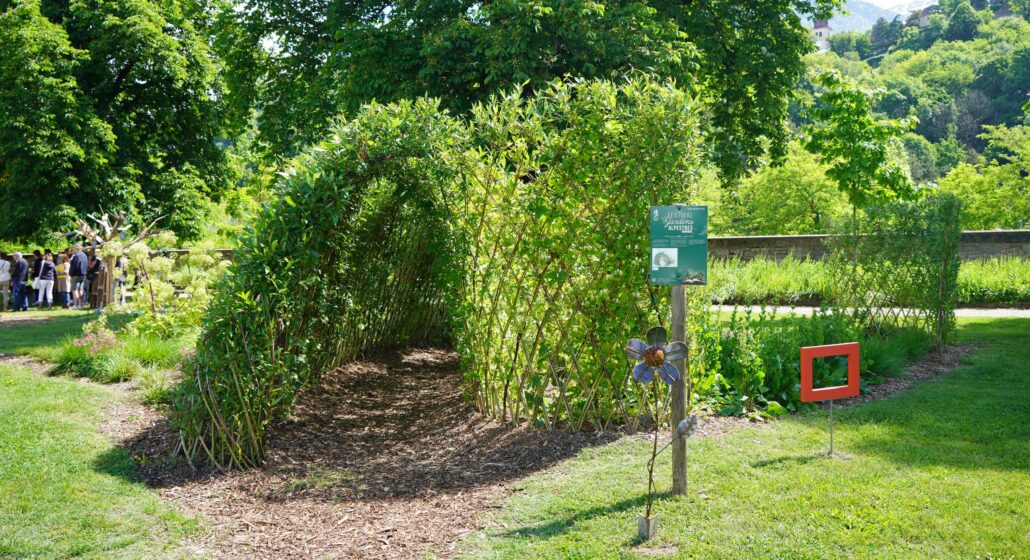 Festival des jardins alpestres_Albertville