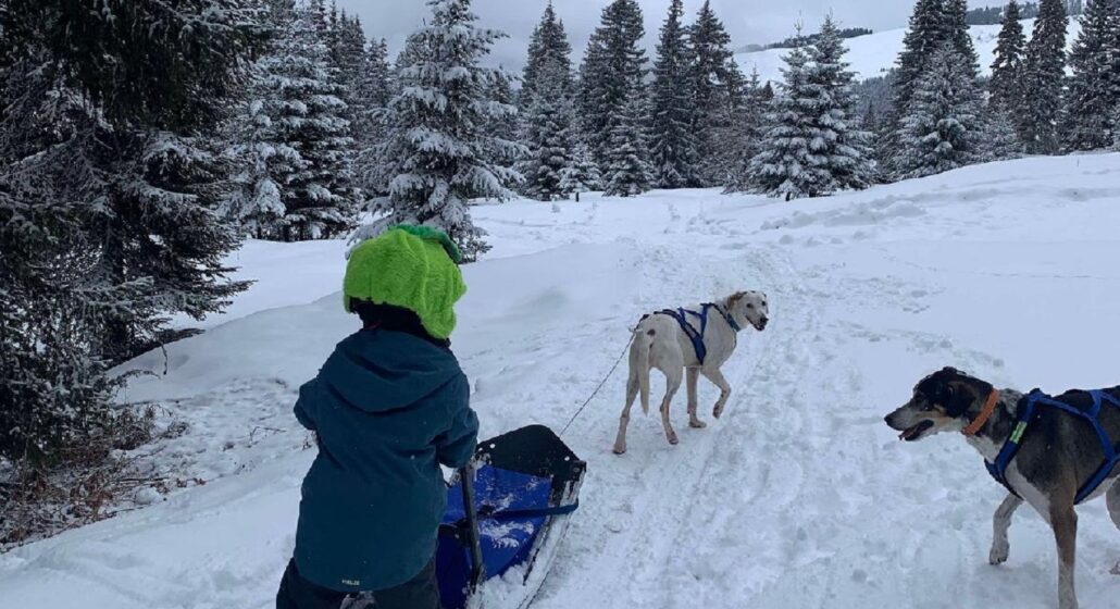 Baby Traîneau_Notre-Dame-de-Bellecombe