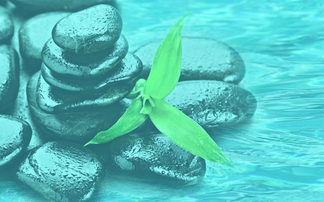 Soirée Zen | Vendredi 30 janvier