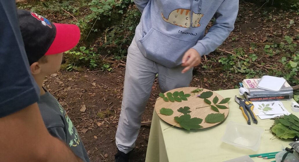 Rallye forêt_Tournon