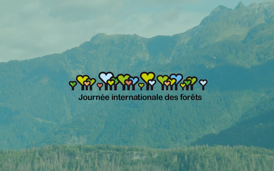 Journée Internationale des Forêts | 19, 21 et 26 mars