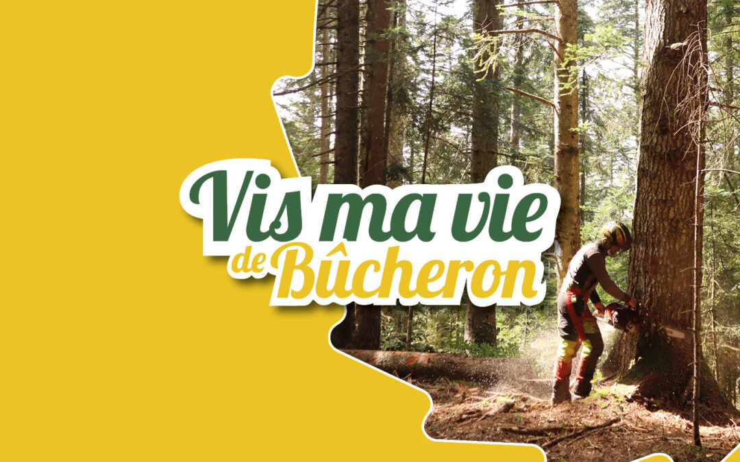 Vis ma vie de Bûcheron | du 17/07 au 7/08